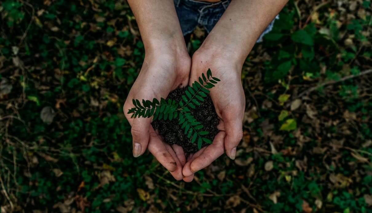 Sanchia: liderando la revolución verde en la industria del mobiliario