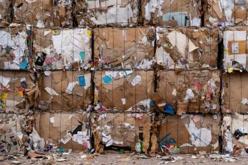 Análisis de afirmaciones de calidad en el sector empresarial